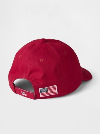 Cappello da baseball con logo Americana di Toddler Gap