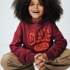 Felpa con cappuccio con logo VintageSoft per bambini Felpa con cappuccio con logo VintageSoft per bambini