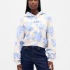Felpa con cappuccio VintageSoft Crop Logo Felpa con cappuccio VintageSoft Crop Logo
