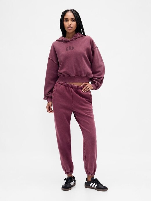 Felpa con cappuccio VintageSoft Crop Logo Felpa con cappuccio VintageSoft Crop Logo