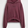 Felpa con cappuccio VintageSoft Crop Logo Felpa con cappuccio VintageSoft Crop Logo