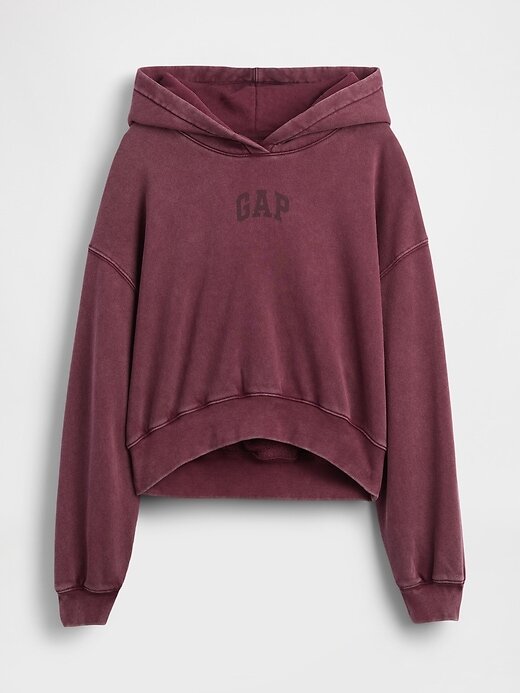 Felpa con cappuccio VintageSoft Crop Logo Felpa con cappuccio VintageSoft Crop Logo